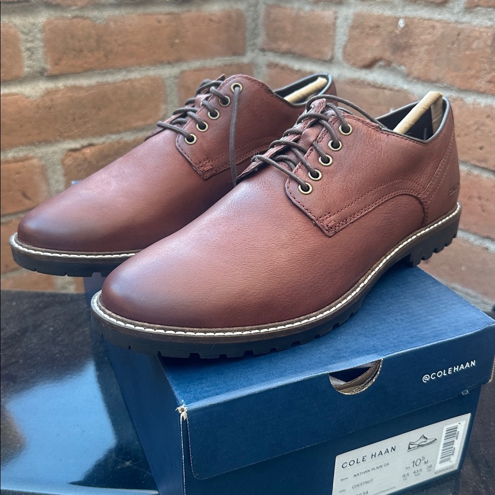 Cole Haan Nathan Plain Ox Chestnut Men's Oxfords BRAND NEW C30634